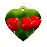 Three Red Tulips, Green Background Dog Tag Heart (Two Sides) Front