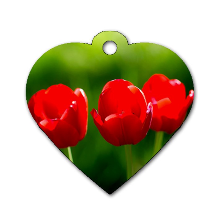 Three Red Tulips, Green Background Dog Tag Heart (Two Sides)