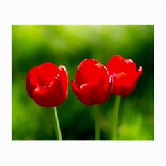 Three Red Tulips, Green Background Small Glasses Cloth (2-side) by FunnyCow