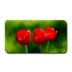 Three Red Tulips, Green Background Medium Bar Mats by FunnyCow