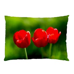 Three Red Tulips, Green Background Pillow Case by FunnyCow