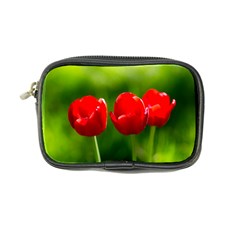 Three Red Tulips, Green Background Coin Purse by FunnyCow