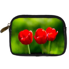 Three Red Tulips, Green Background Digital Camera Leather Case by FunnyCow