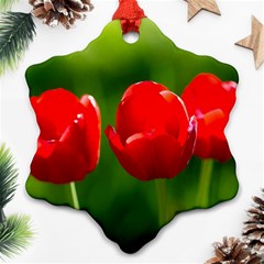 Three Red Tulips, Green Background Ornament (snowflake) by FunnyCow