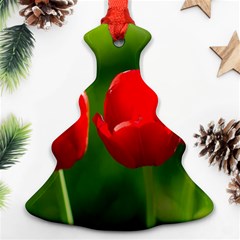 Three Red Tulips, Green Background Christmas Tree Ornament (two Sides) by FunnyCow