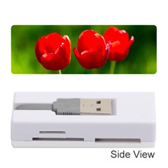 Three Red Tulips, Green Background Memory Card Reader (stick) by FunnyCow