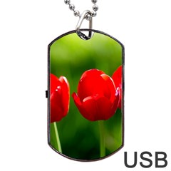 Three Red Tulips, Green Background Dog Tag Usb Flash (two Sides) by FunnyCow