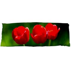 Three Red Tulips, Green Background Body Pillow Case Dakimakura (two Sides) by FunnyCow