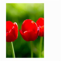 Three Red Tulips, Green Background Small Garden Flag (two Sides) by FunnyCow