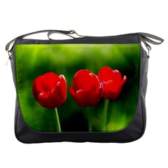 Three Red Tulips, Green Background Messenger Bag by FunnyCow