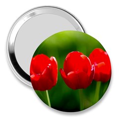 Three Red Tulips, Green Background 3  Handbag Mirrors by FunnyCow