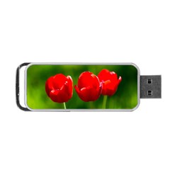 Three Red Tulips, Green Background Portable Usb Flash (one Side) by FunnyCow