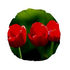 Three Red Tulips, Green Background Standard 15  Premium Round Cushions by FunnyCow