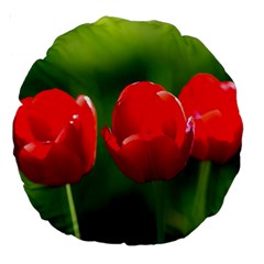 Three Red Tulips, Green Background Large 18  Premium Round Cushions by FunnyCow