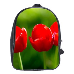 Three Red Tulips, Green Background School Bag (xl) by FunnyCow