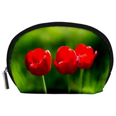 Three Red Tulips, Green Background Accessory Pouch (large) by FunnyCow