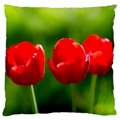 Three Red Tulips, Green Background Large Flano Cushion Case (one Side) by FunnyCow