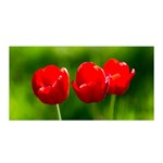 Three Red Tulips, Green Background Satin Wrap Front