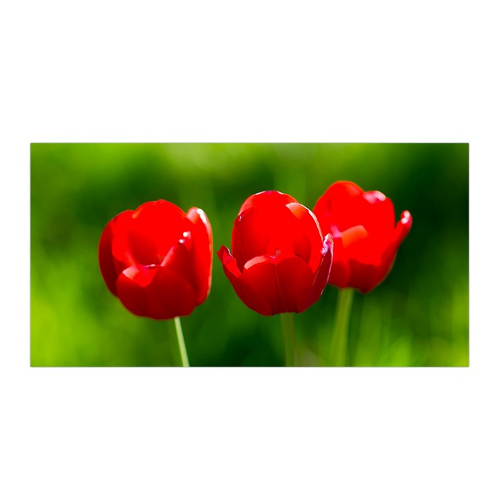 Three Red Tulips, Green Background Satin Wrap