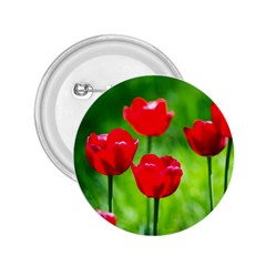 Red Tulip Flowers, Sunny Day 2 25  Buttons by FunnyCow