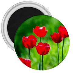 Red Tulip Flowers, Sunny Day 3  Magnets by FunnyCow