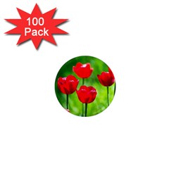 Red Tulip Flowers, Sunny Day 1  Mini Magnets (100 Pack)  by FunnyCow