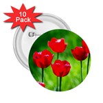 Red Tulip Flowers, Sunny Day 2.25  Buttons (10 pack)  Front