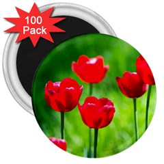 Red Tulip Flowers, Sunny Day 3  Magnets (100 Pack) by FunnyCow