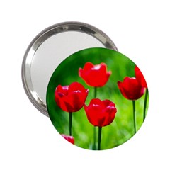 Red Tulip Flowers, Sunny Day 2 25  Handbag Mirrors by FunnyCow