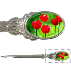 Red Tulip Flowers, Sunny Day Letter Opener by FunnyCow