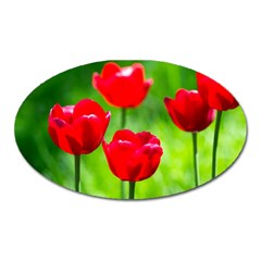 Red Tulip Flowers, Sunny Day Oval Magnet by FunnyCow