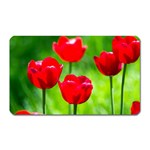 Red Tulip Flowers, Sunny Day Magnet (Rectangular) Front