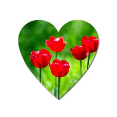 Red Tulip Flowers, Sunny Day Heart Magnet by FunnyCow