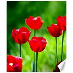 Red Tulip Flowers, Sunny Day Canvas 8  x 10  8.15 x9.66  Canvas - 1