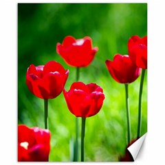 Red Tulip Flowers, Sunny Day Canvas 16  X 20  by FunnyCow