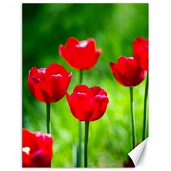 Red Tulip Flowers, Sunny Day Canvas 18  X 24  by FunnyCow