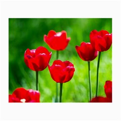 Red Tulip Flowers, Sunny Day Small Glasses Cloth (2-side) by FunnyCow