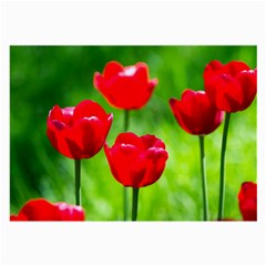 Red Tulip Flowers, Sunny Day Large Glasses Cloth (2-side) by FunnyCow