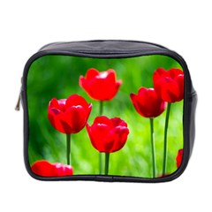 Red Tulip Flowers, Sunny Day Mini Toiletries Bag (two Sides) by FunnyCow