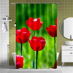 Red Tulip Flowers, Sunny Day Shower Curtain 48  X 72  (small)  by FunnyCow