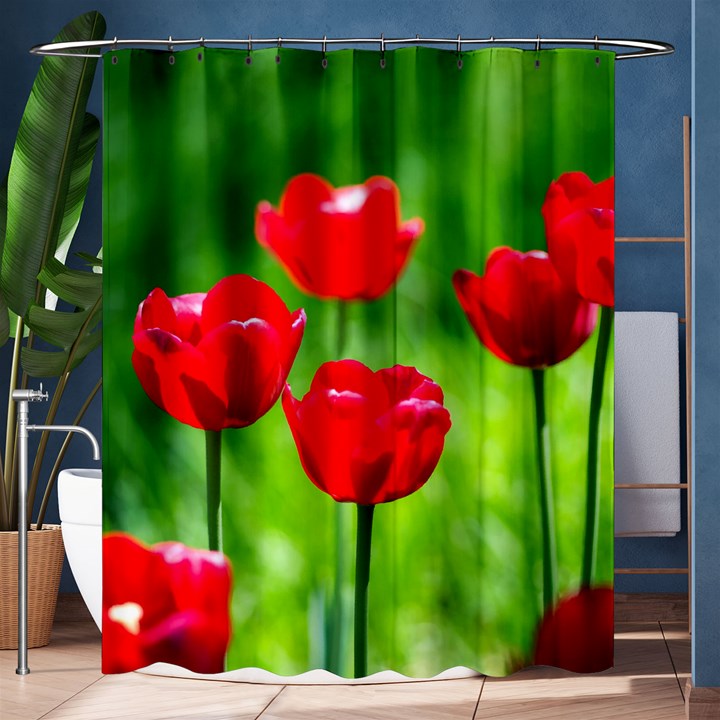 Red Tulip Flowers, Sunny Day Shower Curtain 60  x 72  (Medium) 