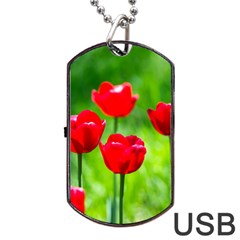 Red Tulip Flowers, Sunny Day Dog Tag Usb Flash (one Side) by FunnyCow