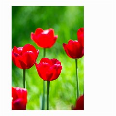 Red Tulip Flowers, Sunny Day Small Garden Flag (two Sides) by FunnyCow