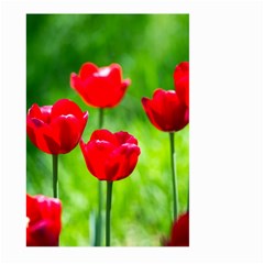 Red Tulip Flowers, Sunny Day Large Garden Flag (two Sides) by FunnyCow