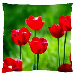 Red Tulip Flowers, Sunny Day Large Cushion Case (one Side) by FunnyCow