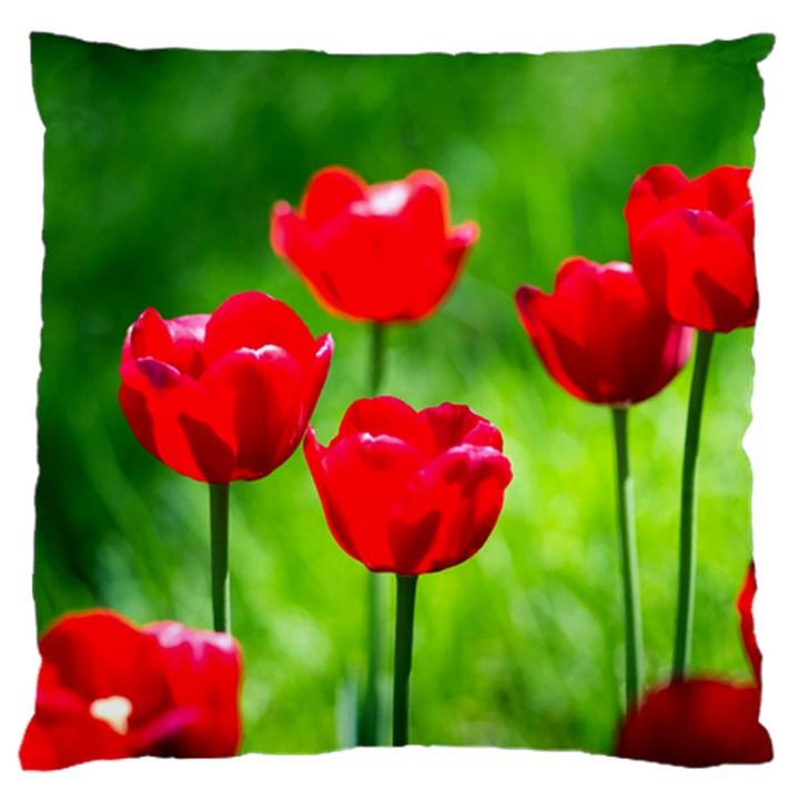 Red Tulip Flowers, Sunny Day Large Cushion Case (Two Sides)