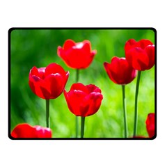 Red Tulip Flowers, Sunny Day Double Sided Fleece Blanket (small)  by FunnyCow