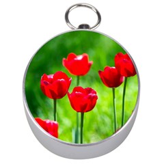 Red Tulip Flowers, Sunny Day Silver Compasses by FunnyCow