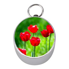 Red Tulip Flowers, Sunny Day Mini Silver Compasses by FunnyCow