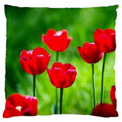 Red Tulip Flowers, Sunny Day Large Flano Cushion Case (one Side) by FunnyCow